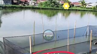Nikmati Saja Prosesnya