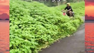 belajar kopling dlu harusnya