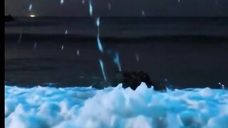 The Ocean That Glows Like a Galaxy