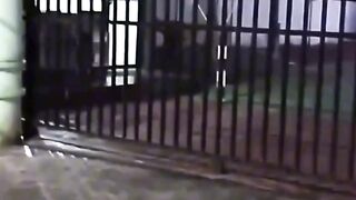 merinding bisa gerak sendiri