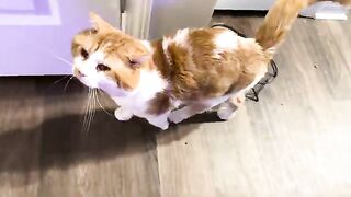 Bubblin a bath