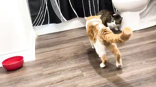 The magic trick