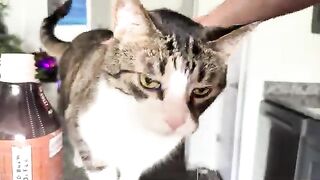 Adam gives you kisses at the end.