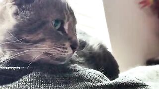He thinks - just not well