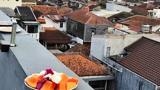 Rooftop Bird Buffet! Wild Birds Eating Fruits & Mealworms 🐦🍓