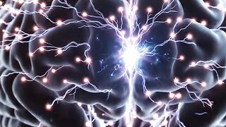 🧠 Human Brain Anatomy Explained | Amazing Brain Facts You Need to Know! 🔬