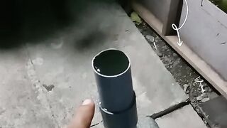 Budidaya Lele Sistem Kocor Ringan