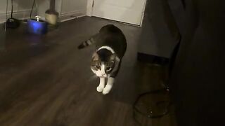 He has ghosts