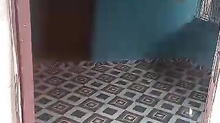 ROOM SELF CON AT EKUTE
