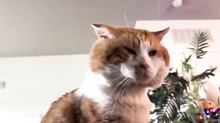 Why are your peets wet?