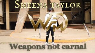 WEAPON NOT CARNAL.by sheena Taylor