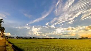 Beauty of Nature 17