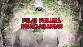 🌍 TOP 3 Profesi yang Menguji Nyali!