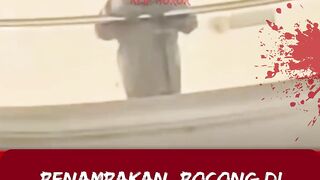 seramm bangettttt