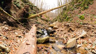 4K resolution - rocky river inside forest | Trending HD Video