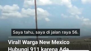 🚨 Beruang tersangkut di puncak tiang listrik, warga hubungi 911. 🐻⚡️