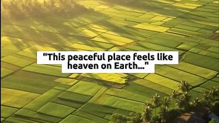 The Beauty of Rice Fields at Sunrise
