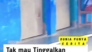 Semoga persahabatan mereka terus menjadi inspirasi bagi kita semua. ❤️