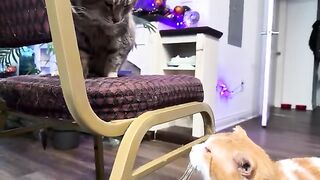 Part 1) He took your spot