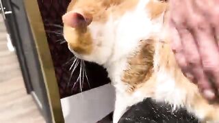 The enjoyment of grawrz
