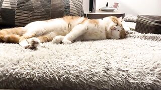 Round Sounds