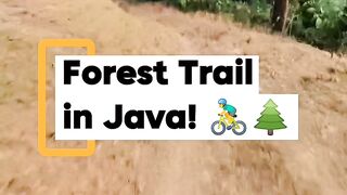 Mountain Biking POV: Rush Through the Forest Trail! 🚴‍♂️🌲