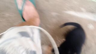 Cute Puppy Playing Around, Adorable Puppy Moments 🐶