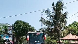 Bus telolet 3