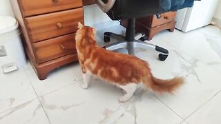 Little Keanu isn't so little any more