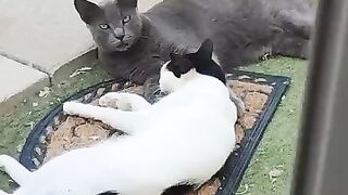 Caught with his girlfriend