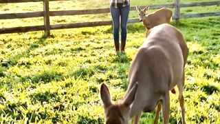 Animals Say Thanks, Humans Stay Silent