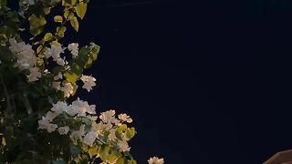 سورة الفاتحة 💗