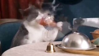 Tom&Jerry real