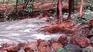 Gardening 4