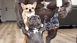 FUNNY ANIMALS 8