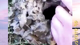 Jangan Asal Gali versi PLUSTOTO4D