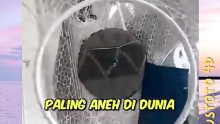 3 Lantai unik paling aneh didunia!! (nomer 3 bentuk nya aneh banget!!) versi PLUSTOTO4D