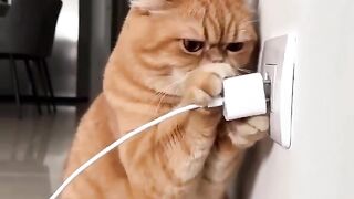Electric Escape