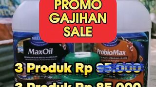 Promo Gajian Sale❗Paket Hemat Lengkap Budidaya Lele