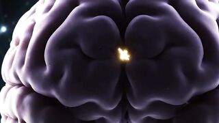 Occipital Lobe Explained | How Your Brain Processes Vision