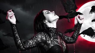 The Crow  Beneath the Dark Feathers