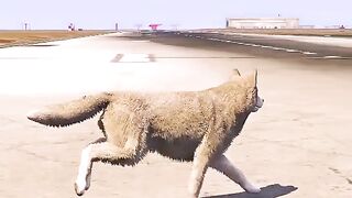 A Dog Spontaneously Arrived When an Airplane Was Landing | Grand Theft Auto V II