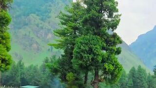 Warwan valley's green carpet