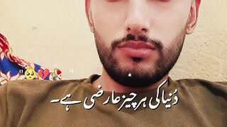 TikTok videos 12