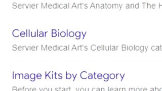 Create Professional Medical Diagrams in Minutes (100% FREE!)