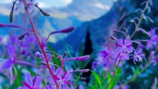 Stunning Drone Travel Vlog: Breathtaking Views & Hidden Gems 4K