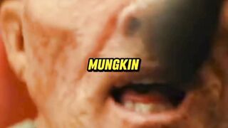 Film marvel bocor