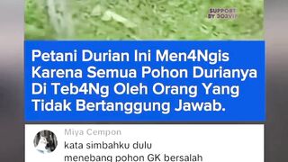 303NEWS 41