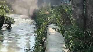 serangan😋