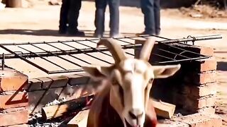 Cow meat on fire